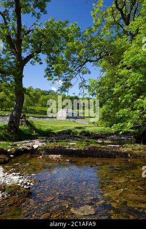 River Wharfe und traditionelle Steinerne Scheune im Tal von Wharfedale, in der Nähe von Kettlewell, Yorkshire Dales National Park, North Yorkshire, England, Großbritannien Stockfoto