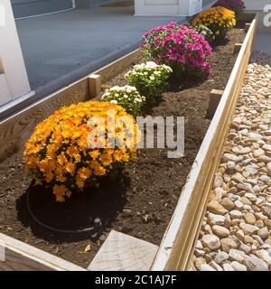 Quadratische Reihe von bunten Blumen auf einem erhöhten hölzernen Pflanzbett im Garten des Hauses Stockfoto