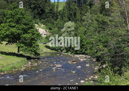 Sihl Fluss in der Nähe des Dorfes Sihlbrugg, Schweiz Stockfoto