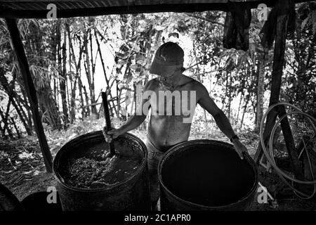 Kokain, Kolumbien, Produktion von Drogen Stockfoto