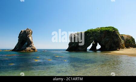 Kap Velikan Riese, stone fox Natur Skulptur, Sachalin Russland Stockfoto