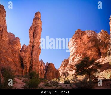 Bizzare Felsformation in Essendilene, Tassili nAjjer Nationalpark, Algerien Stockfoto