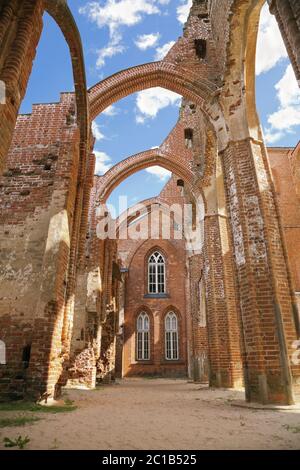 Ruinen der Kathedrale von Tartu Stockfoto