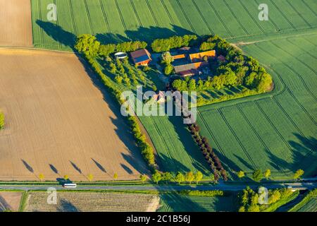 Luftaufnahme, landwirtschaftliches Gehöft, Everswinkel, Kreis Warendorf, Münsterland, Nordrhein-Westfalen, Deutschland, Bauernhof, DE, Europa, Luftbild Stockfoto