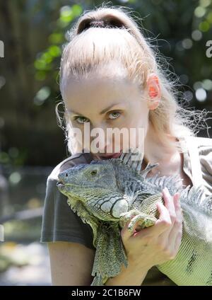 Die junge Frau küsst einen Leguan, hält sie an den Händen Stockfoto