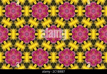 Breite vintage nahtlose Hintergrund Muster. Rose, Mohn, Wildblumen mit Nachtigallen und Blatt. Abstrakt, handgezeichnet, Vektor - s Stockfoto