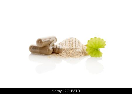 Gotu Kola Kräuterhilfsmittel Stockfoto