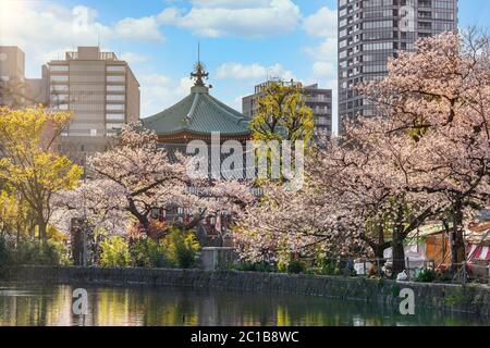 ueno, japan - märz 31 2020: Oktogonale Shinobazuike Bentendo Halle der Göttin der Künste Benten gewidmet, umgeben von Kirschblüten Bäume auf dem Teich von Stockfoto