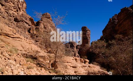 Bizzare Felsformation in Essendilene, Tassili nAjjer Nationalpark, Algerien Stockfoto