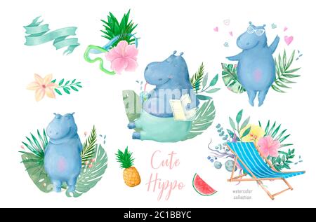 Hand gezeichnet niedlichen isoliert tropischen Sommer Aquarell Nilpferd Tiere. Hippopotamus lustige Cartoon Tier Illustrationen, Dschungel Baum und Blätter, brasilien Stockfoto