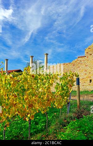 Villa Rustica Weilberg, Weinstöcke, Herbstlaub Stockfoto