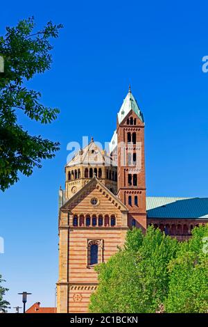 Schum-Stadt, Dom zu Speyer, Kaiserdom, St. Maria und St. Stephan, geweht 1061 Stockfoto