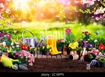 Spring Gardening - Blumentöpfe Und Ausrüstung Im Sonnigen Garten Stockfoto