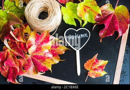Herbstliches Konzept mit leuchtend roten Blättern Stockfoto