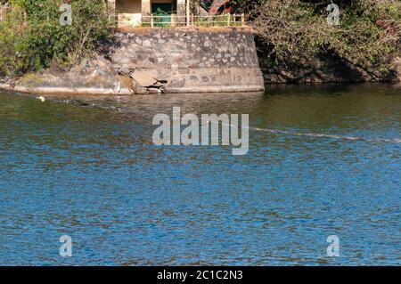 Nakki Lake ist ein See, der in der indischen Bergstation des Mount Abu Stockfoto