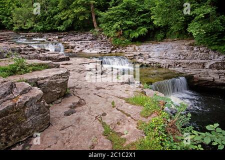 Die drei Ebenen der Stainforth Force Wasserfälle in den Yorkshire Dales, Großbritannien Stockfoto