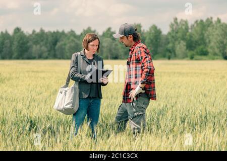 Hypothek Darlehen Officer Unterstützung Landwirt in finanziellen Zuschuss Antragsprozess, Bankier und Landarbeiter in Weizenfeld. Stockfoto