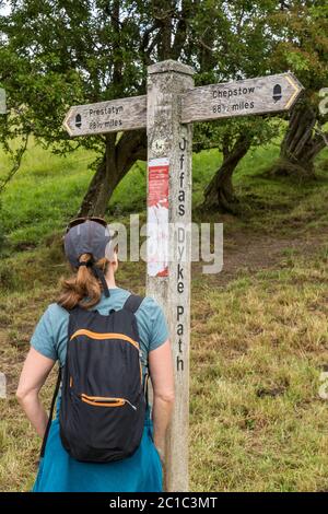 Eine Wandererin mittleren Alters, die die Beschreibung auf dem Schild mit dem Finger Post liest, die auf halber Strecke des Offa's Dyke Walk an der Grenze zu England und Wales steht. Stockfoto