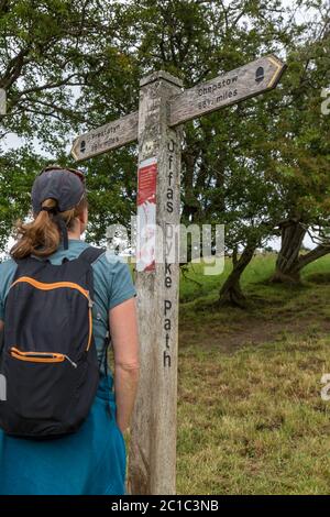 Eine Wandererin mittleren Alters, die die Beschreibung auf dem Schild mit dem Finger Post liest, die auf halber Strecke des Offa's Dyke Walk an der Grenze zu England und Wales steht. Stockfoto