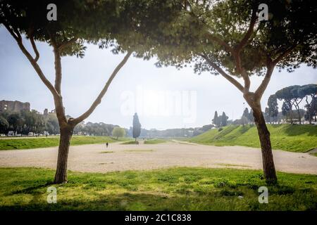 Zwei römische Pinien umrahmen die Überreste des Circus Massimo in Rom Stockfoto