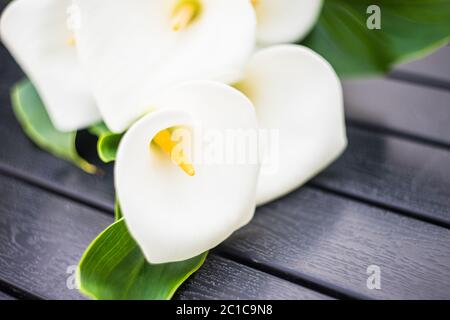 Weiße Calla Lillies im Brautstrauß Stockfoto