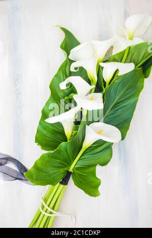 Weiße Calla Lillies im Brautstrauß Stockfoto