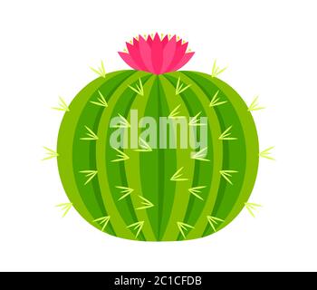 Runder Kaktus mit rosa Blume. Vektorgrafik. Stock Vektor