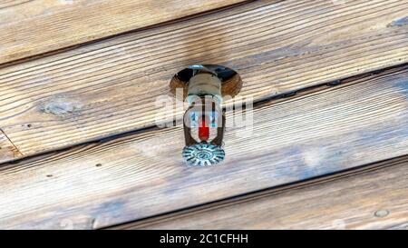 Panorama-Rahmen Sprinkler, installiert an der braunen Holzdecke eines Gebäudes oder Hauses Stockfoto