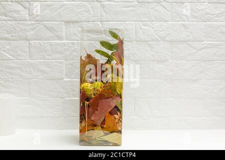 Herbstliche Home Decor von golden und Braune trockene Blätter, Kegel und Eicheln in modernen Glas Vase auf Wand Hintergrund Stockfoto