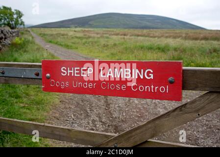 'Sheep lambing, Dogs under close control' Schild an einem Tor in den Pentland Hills bei Edinburgh, Schottland, Großbritannien. Stockfoto