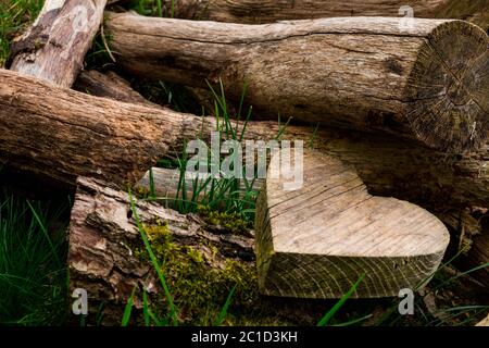 Liebe zur Natur Stockfoto