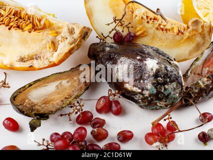 Verfaulte Früchte auf weißem Hintergrund, Zero Waste Konzept Stockfoto