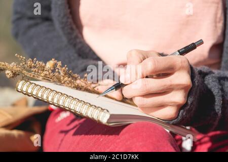 Nahaufnahme der Hände eines Mädchens mit einem leeren Notizbuch. Ein trockener Strauß Kräuter in der Hand und ein Bleistift. Reisedesigner artis Stockfoto