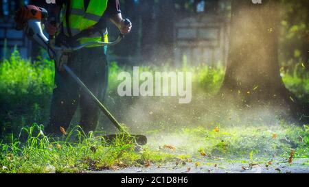 Der Gärtner mäht Unkraut. Kleine Teile der Vegetation streuen in verschiedene Richtungen Stockfoto