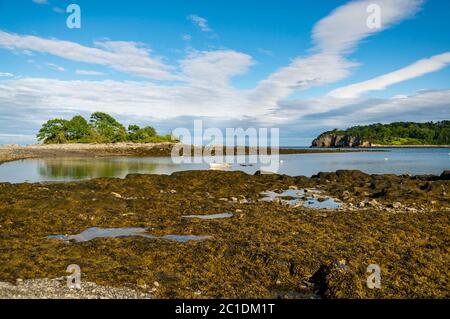 Blick auf die felsige Küste auf Peaks Island, Maine Stockfoto