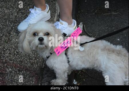 Mahnwache für George Floyd 14. Juni 2020 in Manhattans Upper East Side außerhalb des Gracie Mansion, Residenz des Bürgermeisters Bill de Blasio, in New York City, NYC Stockfoto
