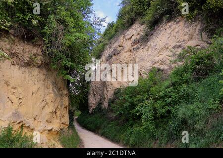 Solshohlweg eichberg bei Bickensohl im kaiserstuhl Stockfoto