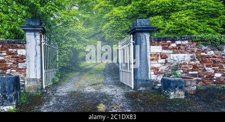 Öffnen Sie das eiserne Tor zum Wald. Stockfoto