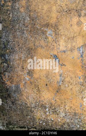 Alte verputzte schimmelige Wand mit Abblätternden und Rissen. Abstrakter Hintergrund. Vertikale Ansicht Stockfoto