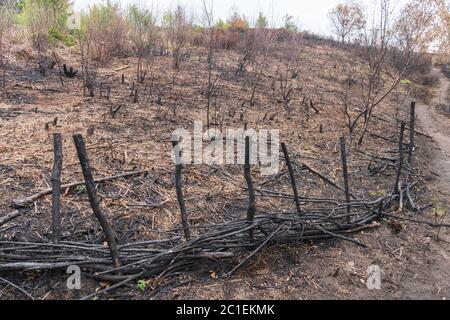 Ein großer Teil der Heide auf Waldridge fiel im Mai 2020 durch einen Waldbrand in der Nähe von Chester-le-Street, Co. Durham, England, Großbritannien, beschädigt Stockfoto