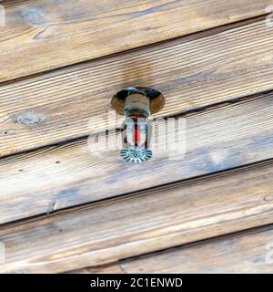 Quadratischer Sprinkler an der braunen Holzdecke eines Gebäudes oder Hauses Stockfoto