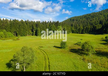 Luftaufnahme auf der Wiese, die vom Wald gesäumt ist, mit der Straße in der Mitte, Nationalpark Risnjak, Kroatien Stockfoto