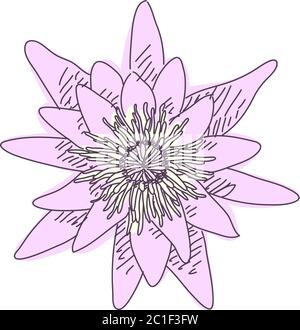 Skizze des Blumentos, handgezeichnete Vektor-Illustration Stock Vektor