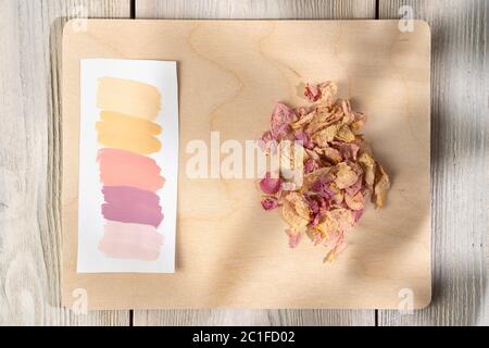 Eine Farbpalette mit Proben von Blumen, die von einer getrockneten Feldpflanze genommen wurden, wobei der Schatten eines Blattzweiges von oben fällt. Auf einem hölzernen Hintergrund. Stockfoto