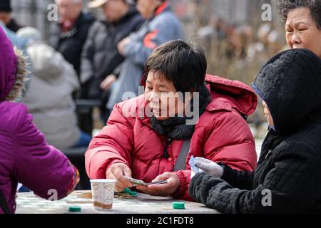 Ältere Frauen spielen Karten im Columbus Park von Manhattan Chinatown in New York City, Vereinigte Staaten von Amerika Stockfoto