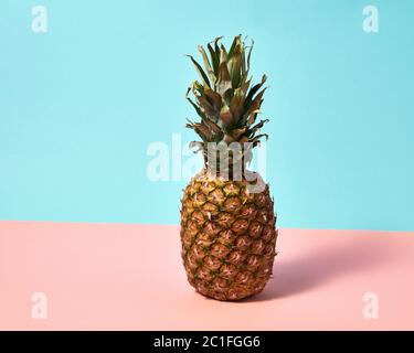 Reife Ananas auf einem blauen rosa Papier Hintergrund isoliert. Exotische Früchte Stockfoto