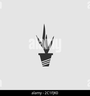 Zimmerpflanzen Ikone flach. Schwarzes Piktogramm auf grauem Hintergrund. Vektorgrafik Symbol Stock Vektor