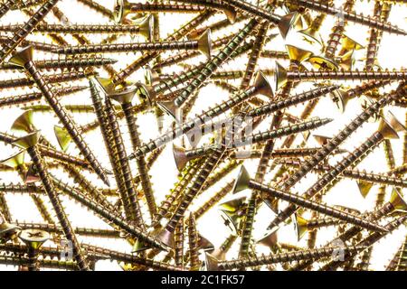 Viele goldene Messingschrauben auf weißem Hintergrund Stockfoto