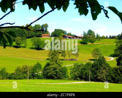 süddeutsche Landschaft mit sanften Hügeln und Bauernhof Stockfoto