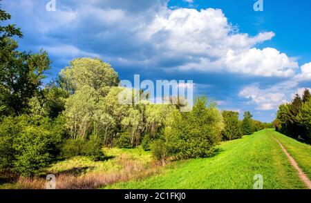 Panoramablick Feuchtgebiete Waldwiesen des Lawice Kielpinskie Naturschutzgebiet an der Weichsel in der Nähe von Lomianki Stadt nördlich von Warschau im Zentrum Mazovi Stockfoto